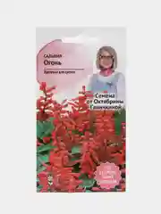 Сальвия Огонь, семена