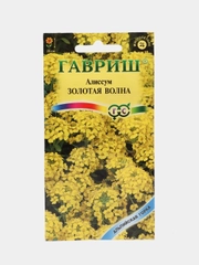 Алиссум Золотая Волна, семена гавриш