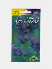 Лаванда Английская (семена,цветы)