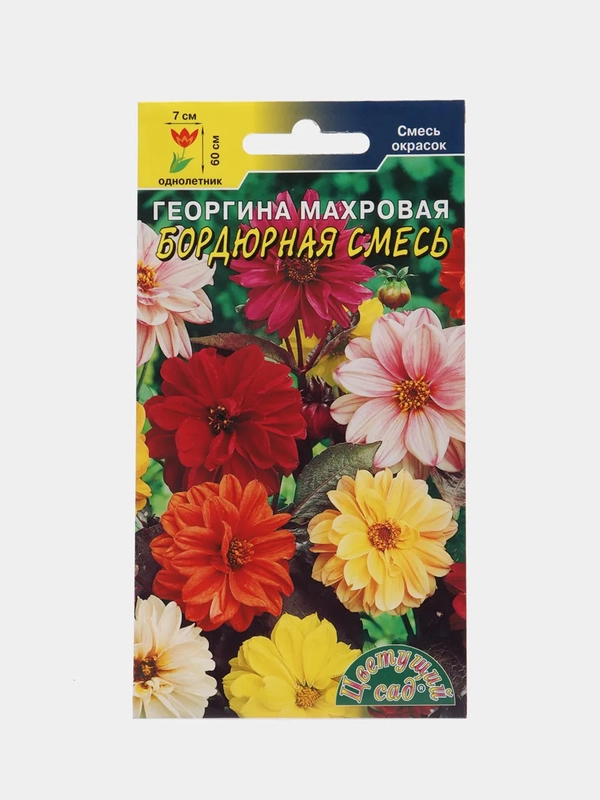 Семена цветов Георгина "Бордюрная смесь"