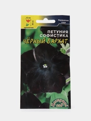 Петуния Черный бархат (семена,цветы)
