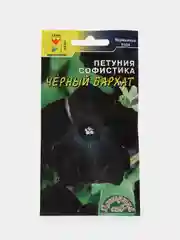 Петуния Черный бархат (семена,цветы)