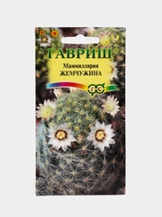 Семена цветов Кактус "Маммиллярия жемчужина"