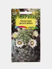 Семена цветов Кактус "Маммиллярия жемчужина"