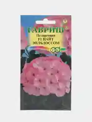 Пеларгония Найт Эплблоссом (семена,цветы)