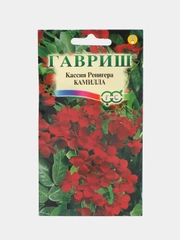 Семена цветов Кассия "Камилла"