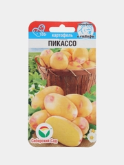 Картофель Пикассо (семена)