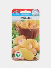 Картофель Пикассо (семена)