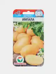 Картофель Импала (семена,цветы)