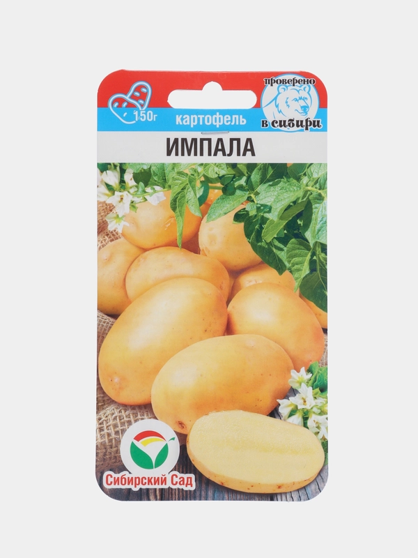 Картофель Импала (семена,цветы)