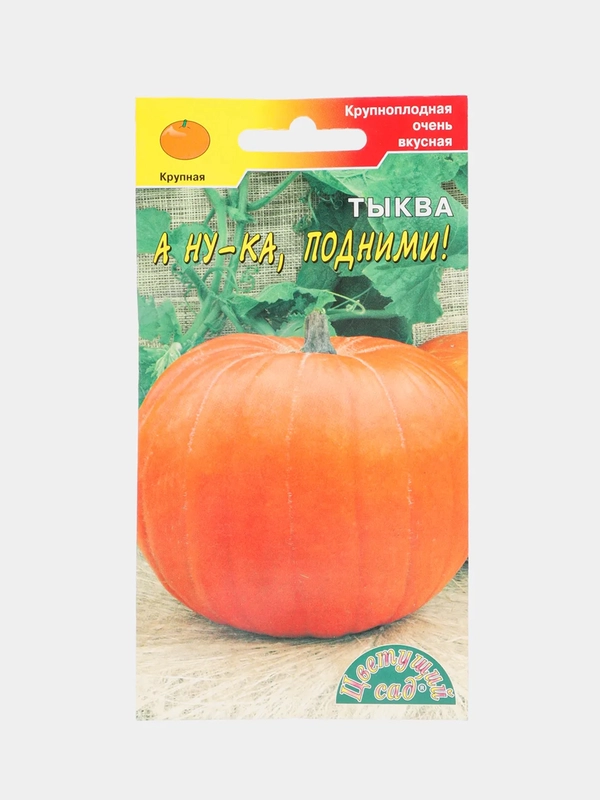 Семена "Тыква А ну-ка подними"