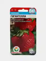 Семена (клубника) "Земляника Гигантелла"
