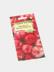 Семена цветы "Маргаритка Весна красна"