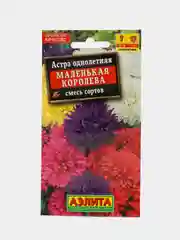 Семена цветов Астра "Маленькая королева"