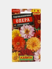 Георгина Опера (семена,цветы)