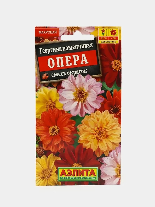 Георгина Опера (семена,цветы)