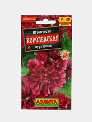 Шток роза Королевская пурпурная (семена,цветы)