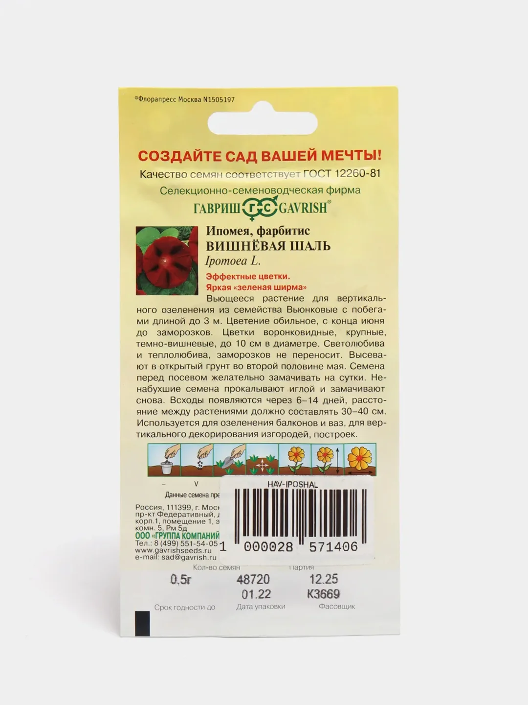 Ипомея пурпурная Вишнёвая Шаль, семена