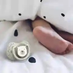 LOVI Buddy Bear Пустышка силиконовая динамическая 3-6 мес 2шт