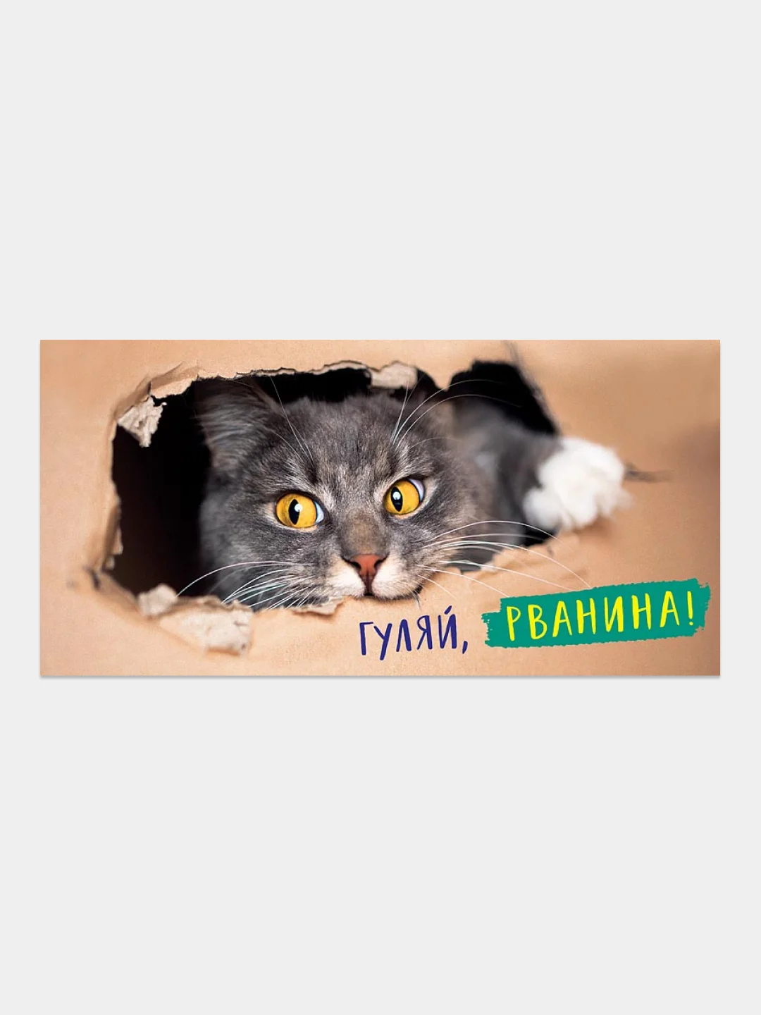 Хаки конверт для денег с котиками, денежная открытка- конверт с котами, 75 видов