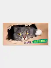 Хаки конверт для денег с котиками, денежная открытка- конверт с котами, 75 видов