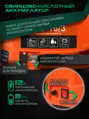 Опрыскиватель аккумуляторный садовый ранцевый для растений Electrolite BS-16/3 16 литров