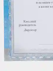 Грамота для школы/За хорошую успеваемость и активное участие в жизни класса/А4/А5/3,5,10шт