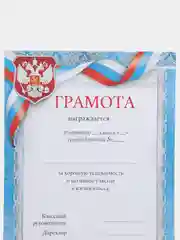Грамота для школы/За хорошую успеваемость и активное участие в жизни класса/А4/А5/3,5,10шт