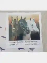 Картины по номерам на холсте с подрамником, 40*50
