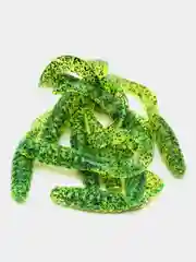 Лесной зеленый силиконовая приманка (США) 10 и 100 шт, Curl Tail Grub, рыболовный силикон твистер