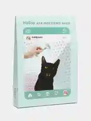 Гуаша для лица. Набор для массажа, нефритовый Гуаша и двусторонний роллер