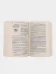 Философия с иллюстрациями