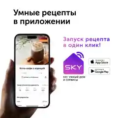 Чайник электрический RED Solution SkyKettle RK-G212S черный