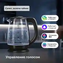 Чайник электрический RED Solution SkyKettle RK-G212S черный