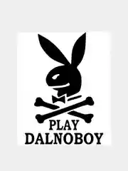 Черный наклейка на авто / машину / стекло "PLAY DALNOBOY" 20х14см
