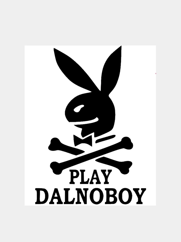 Наклейка на авто / машину / стекло "PLAY DALNOBOY" 20х14см