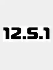 Черный наклейка на авто / машину / стекло "12.5.1", 25 х 6см