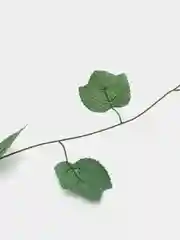 Зеленый лиана искусственная, декоративная