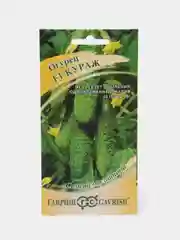 Огурец Кураж