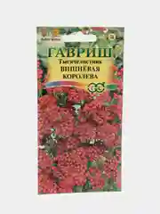 Тысячелистник Вишневая королева (семена,цветы)