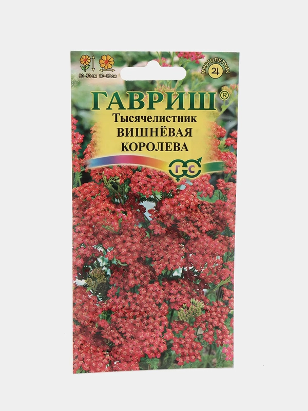 Тысячелистник Вишневая королева (семена,цветы)