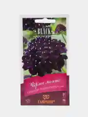 Скабиоза Черное манто (семена,цветы)