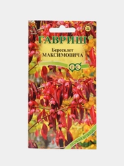 Бересклет Максимовича (семена,цветы)