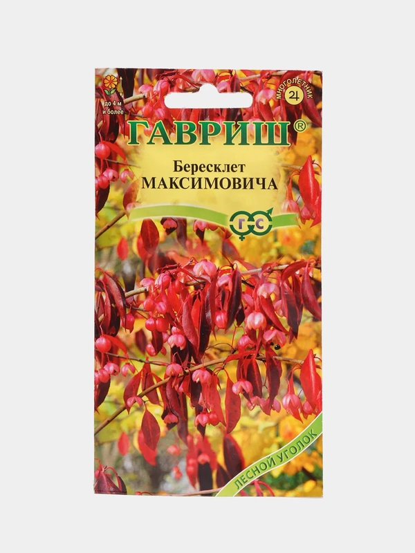 Бересклет Максимовича (семена,цветы)