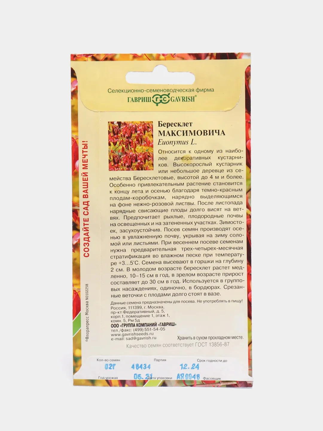 Бересклет Максимовича (семена,цветы)