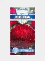 Астра Гигант бордо (семена,цветы)