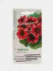 Глоксиния "Аванти красная с белым краем" (семена, цветы)