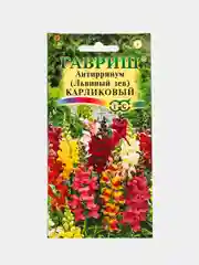 Антирринум Львиный зев Карликовый (семена,цветы)