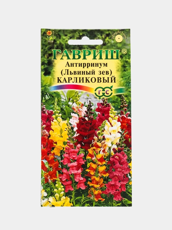 Антирринум Львиный зев Карликовый (семена,цветы)