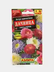 Астра Дачница (семена,цветы)